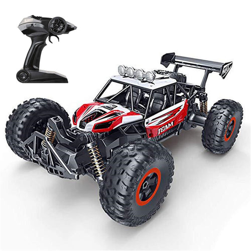 Flytec 6029 1/16 2.4G RWD RC Car Electric Off-Road Vehicle RTR Model 