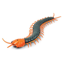 Kids Toys Funny RC Infrared Ants / Cockroaches / Spiders Remote Control Mock Fake Animal Trick RC Toy Kids Gift