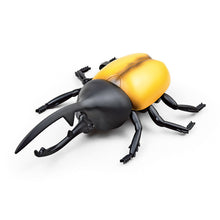 Kids Toys Funny RC Infrared Ants / Cockroaches / Spiders Remote Control Mock Fake Animal Trick RC Toy Kids Gift
