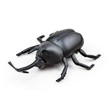 Kids Toys Funny RC Infrared Ants / Cockroaches / Spiders Remote Control Mock Fake Animal Trick RC Toy Kids Gift