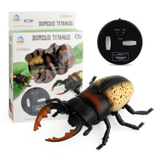Infrared RC animal Insect Toys Simulation spider bee fly crab Ladyb mantis Electric robot Toy Halloween Prank Insects kids toys