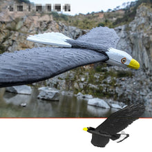 EPP Airplane Hand Launch Throwing Glider Aircraft Inertial Foam Dragon Eagle Shark Plane Model Outdoor Toy Educational Toys Gift