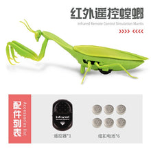 Infrared RC Remote Control Realistic Mini Mantis Insect Scary Trick Toy Simulation Animal Funny Prank Kids For Children Toy Gift