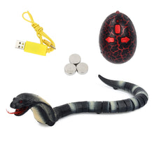 Pet Kid Toy Cobra Surprise Joke RC Animal Centipede Insect Cockroach Remote Control Snake Prank Egg Controler Caterpilla Cat Dog
