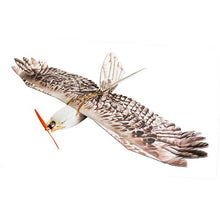Dancing Wings Hobby DW Eagle EPP Mini Slow Flyer 1200mm Wingspan RC Airplane KIT