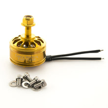 Cobra Champion CP2207 2207 Golden 2300KV 2450KV 2600KV 3-6S Brushless Motor For 250 280 300 RC Drone