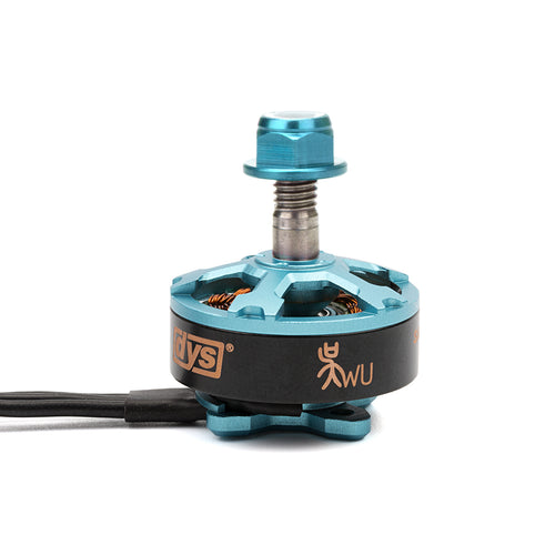 DYS Samguk Wu 2206 1750KV 4-6S Brushless Motor for RC Drone FPV Racing Multi Rotor