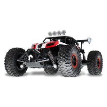 Flytec 6029 1/16 2.4G RWD RC Car Electric Off-Road Vehicle RTR Model 