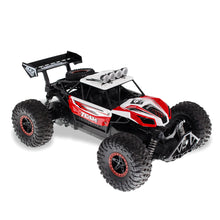 Flytec 6029 1/16 2.4G RWD RC Car Electric Off-Road Vehicle RTR Model 