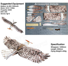 Dancing Wings Hobby DW Eagle EPP Mini Slow Flyer 1200mm Wingspan RC Airplane KIT