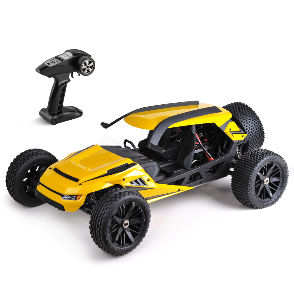 HBX 1/6 2.4G 70km/h High Speed Brushless Desert Buggy RC Car