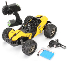 RCTBOX 1/12 2.4G 2WD High Speed 25KM/H RC Car Dessert Buggy Vehicle Model 