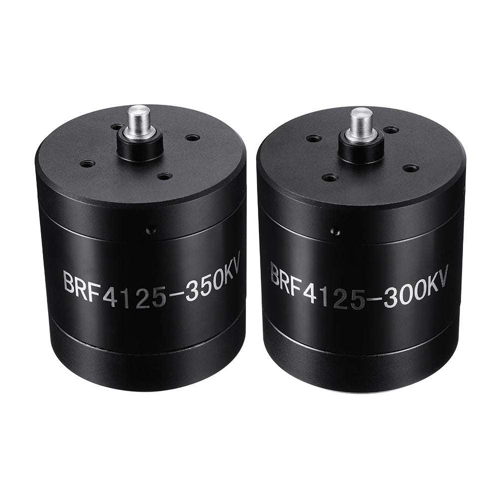 DXW BRF4125 300KV 350KV 3-6S Waterproof Brushless Motor for RC Drone FPV Racing Multirotor