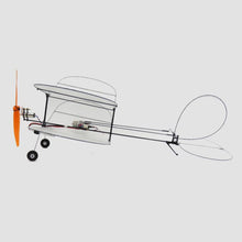 TY Model Black Flyer V2 Carbon Fiber Film RC Airplane With Power System