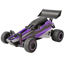 Crazon 173201 1/32 2.4G 2WD Mini Racing RC Car 20km/h High Speed Buggy Vehicle RTR Toys