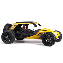 HBX 1/6 2.4G 70km/h High Speed Brushless Desert Buggy RC Car