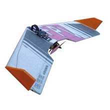 2pcs BEE 490mm Wingspan EPP FPV RC Airplane Fixed Wing KIT for New Flyer Beginner Trainer