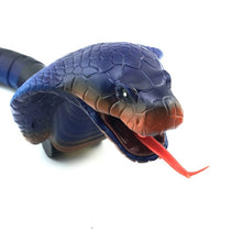 Pet Kid Toy Cobra Surprise Joke RC Animal Centipede Insect Cockroach Remote Control Snake Prank Egg Controler Caterpilla Cat Dog
