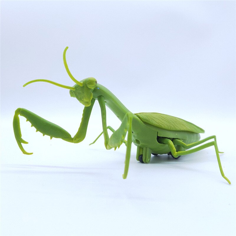 Remote Control Animal Infrared RC Toy Kit for Kids Adults Smart Mantis