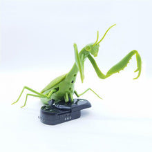 Remote Control Animal Infrared RC Toy Kit for Kids Adults Smart Mantis Prank Jokes Radio Insect for Boys Gift