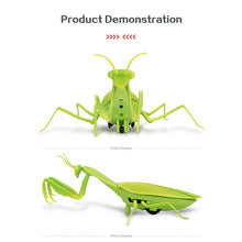 Infrared RC Remote Control Realistic Mini Mantis Insect Scary Trick Toy Simulation Animal Funny Prank Kids For Children Toy Gift