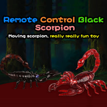 Infrared RC Remote Control Joke Toy Kit For Adults Smart Big Spider Scorpions Prank 2.4G Raido Control Insect Toys For Children