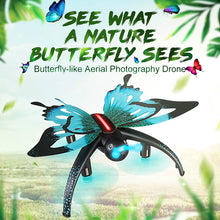New Children Toy Remote Butterfly Airplane Simulation Quadcopter Airplane Education Toy for Kids