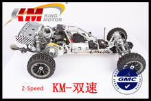 1/5 Scale 2-speed 30.5cc Gas Baja Buggy RTR