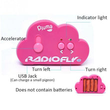 Funny Flight Remote Control Bird Toy 2.4 Ghz Remote Control Electronic Bird Bird Electronic Mini Remote Control Aircraft