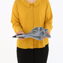 FX-822 F22 2.4GHz 290mm Wingspan EPP RC Fighter Done Battleplane RTF Remote Controller RC Quadcopter Aircraft Drone Model Toy