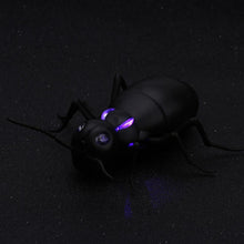 Kids Toys Funny RC Infrared Ants / Cockroaches / Spiders Remote Control Mock Fake Animal Trick RC Toy Kids Gift