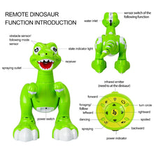 Remote Control Dinosaur Spraying Water RC Interative Walking Pet Light Up Eyes Dragon Dinosaur Robot with Humidifier Function