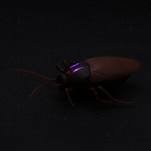 Kids Toys Funny RC Infrared Ants / Cockroaches / Spiders Remote Control Mock Fake Animal Trick RC Toy Kids Gift