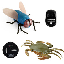 Infrared RC animal Insect Toys Simulation spider bee fly crab Ladyb mantis Electric robot Toy Halloween Prank Insects kids toys