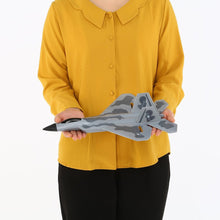 FX-822 F22 2.4GHz 290mm Wingspan EPP RC Fighter Done Battleplane RTF Remote Controller RC Quadcopter Aircraft Drone Model