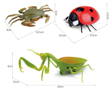 Infrared RC animal Insect Toys Simulation spider bee fly crab Ladyb mantis Electric robot Toy Halloween Prank Insects kids toys