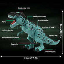 Children's Sound Light Projection Dinosaur Toy Simulation Animal Model Toy Spray Under The Egg Tyrannosaurus Birthday Present
