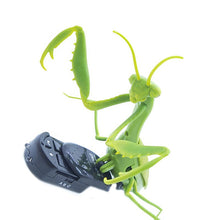 Remote Control Animal Infrared RC Toy Kit for Kids Adults Smart Mantis Prank Jokes Radio Insect for Boys Gift