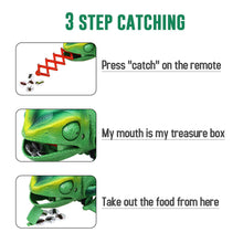 RC Animals Toys RC-Chameleon Lizard Pet Intelligent Remote Control Toy Electronic Model Reptile Animals Robot for Kid Gifts