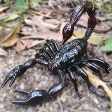 Infrared RC Remote Control Joke Toy Kit For Adults Smart Big Spider Scorpions Prank 2.4G Raido Control Insect Toys For Children