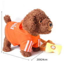 120 Songs Ancient Poetry Pet Music Plush Toy Dog Walking Smart Machine Leash Dog Children Gift Birthday Gift