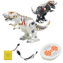 RC Rechargeable Mechanical Walking Dinosaur with Sound Light Interactive Kid Toy gift for