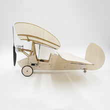 Flea Balsa Wood 358MM Wingspan Micro RC Airplane Newton Kit