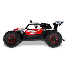 Flytec 6029 1/16 2.4G RWD RC Car Electric Off-Road Vehicle RTR Model 