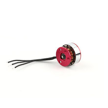 C10 Micro 2900KV Brushless Outrunner Motor