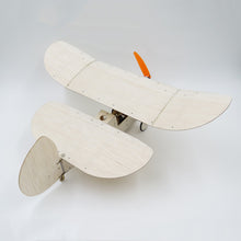 Flea Balsa Wood 358MM Wingspan Micro RC Airplane Newton Kit