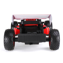 23213 2.4G 1/10 High Speed RC Car 
