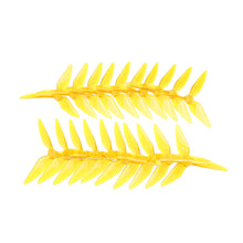 10 Pairs KINGKONG/LDARC 5051 Single Color 3-blade CW CCW Propeller 5.0mm Mounting Hole for RC FPV Racing Drone